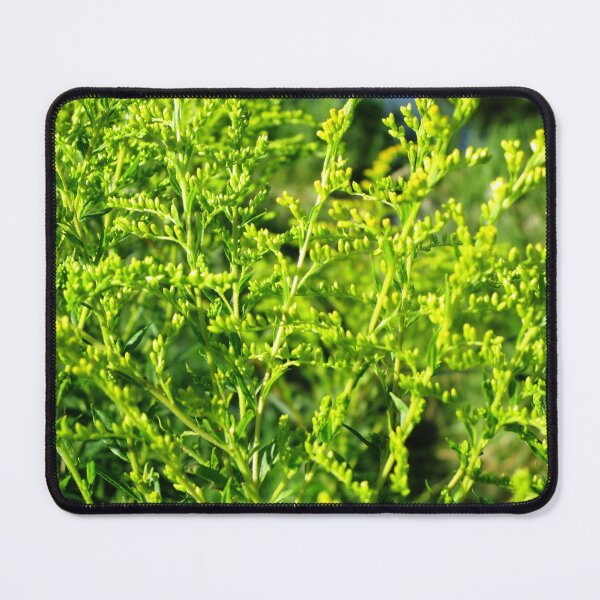 Item preview, Green grass aesthetic plants art photography | lime green grass summer meadow photography designed and sold by lausn.