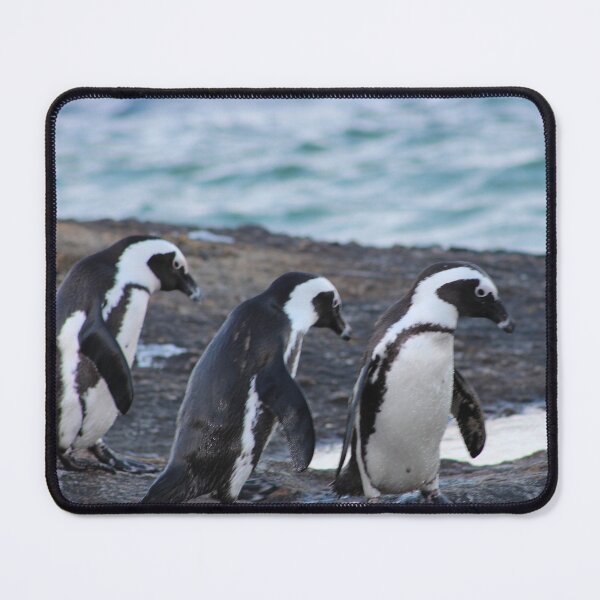 Artikelvorschau, Ein Trio von Pinguinen entworfen und verkauft von LearsInteriors.