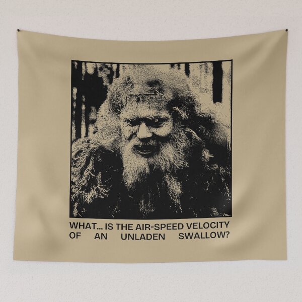Item preview, What is the airspeed velocity of an unladen swallow? designed and sold by JulianoZn97.
