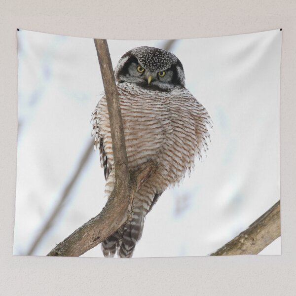 Item preview, Intruders beware designed and sold by locustgirl.