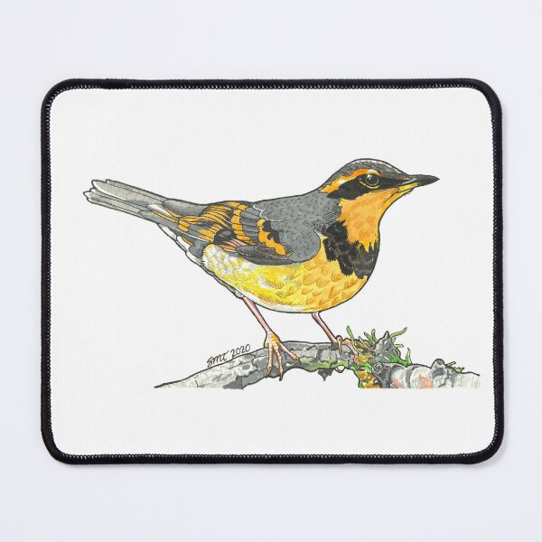 Item preview, Varied Thrush designed and sold by StiltonArt.