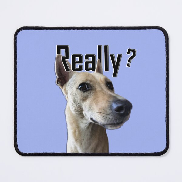 Item preview, Woof Wonder: Curious Canine Captivation designed and sold by EnjoYarty.