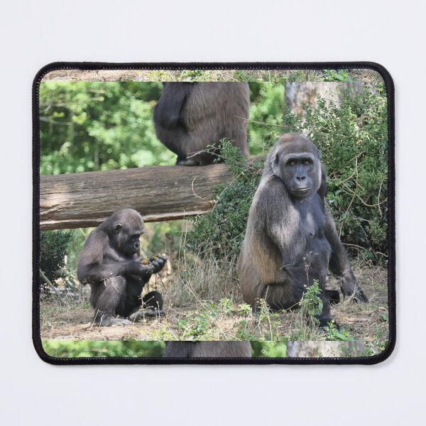 Item preview, vr 3502 / finition 2023 - 19 -  " Gorille/guenon: la Maman et son petit  " Okaio-Umin - Créations Olavia-Olao designed and sold by o.okaïo.