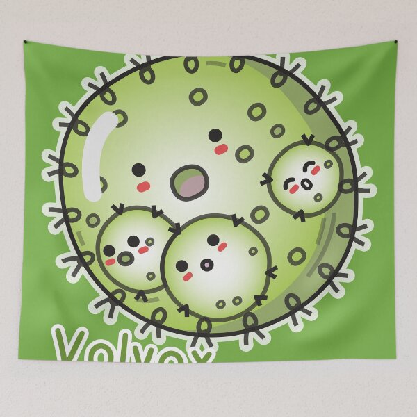 Item preview, Cute Volvox, Algae, Plankton cartoon character, Microalgae art designed and sold by thurakitdew.