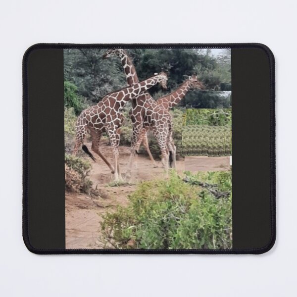 Item preview, Stylish Dancing Giraffes, the largest Ruminant designed and sold by annenambiro.