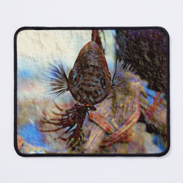 Item preview, My Betta designed and sold by Cjwest36173.
