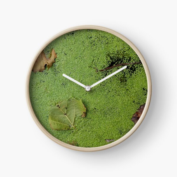 Leaves on Green Clock