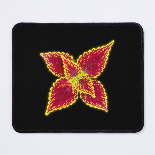 Item preview, Coleus designed and sold by Meo Design.