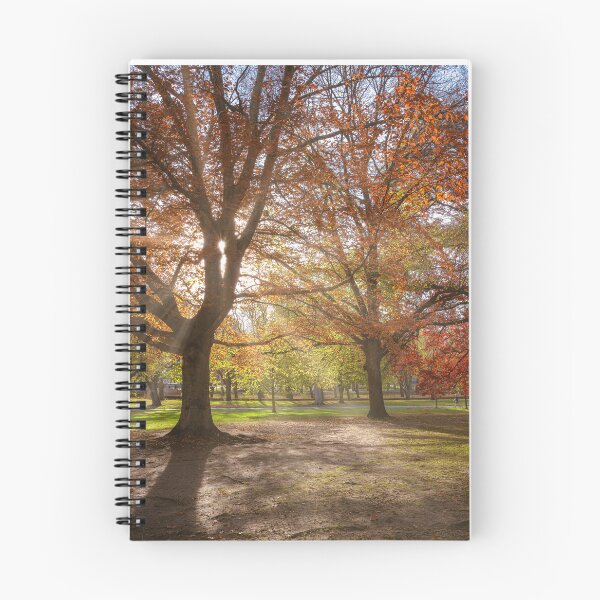 Item preview, Autumn Sunshine in Allegheny Park  designed and sold by brandonbrandon.