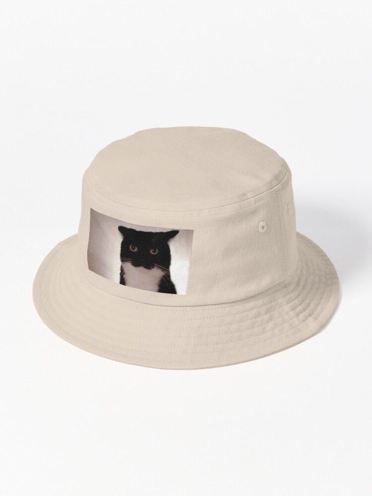 Unico Uni funny cat that is so ears | Bucket Hat