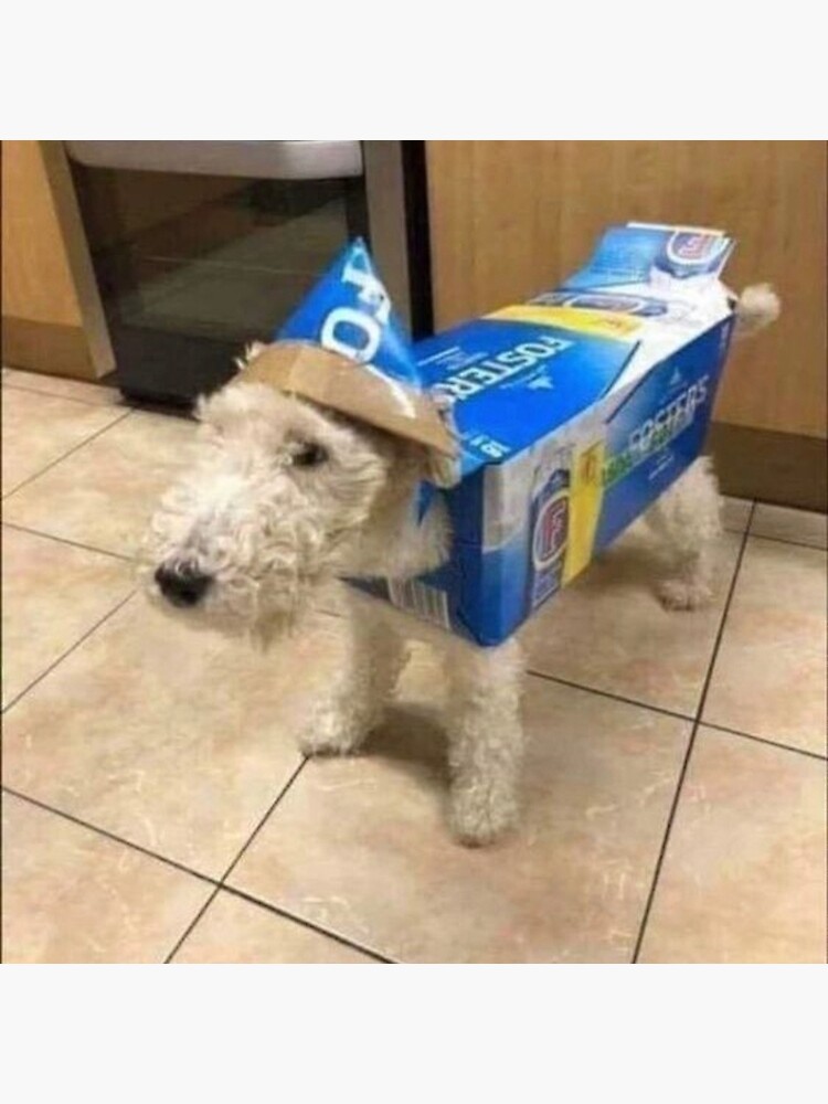 Wire Fox Terrier Bucket Hat Wire Fox Terrier Bucket Hat