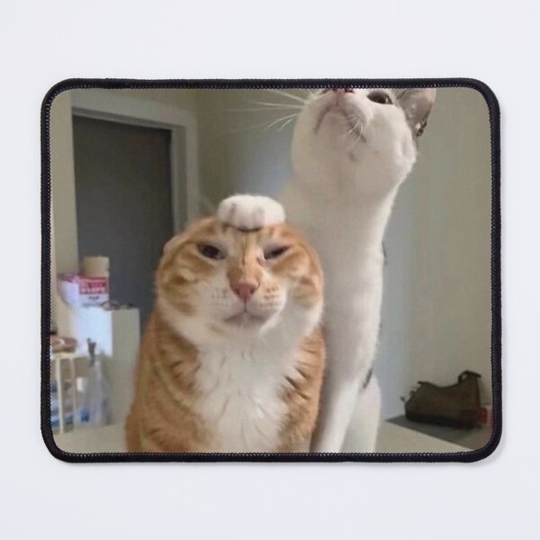 Item preview, Listen here you goobie snoobert cat meme designed and sold by yuccaroot.