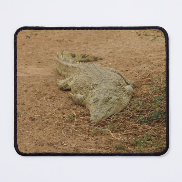 Item preview, Energetic Crocodile designed and sold by annenambiro.