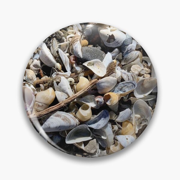 Item preview, Lake Eire Shells designed and sold by stuzle.