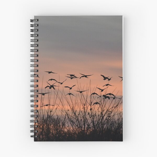 Item preview, Flock of Geese Flying Over Grass in a Field designed and sold by SEEphotos7171.