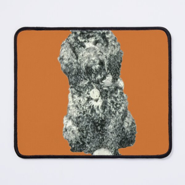 Item preview, Cockapoo with a ball (Orange) designed and sold by LearsInteriors.