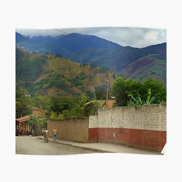 On the Road of Vilcabamba Poster