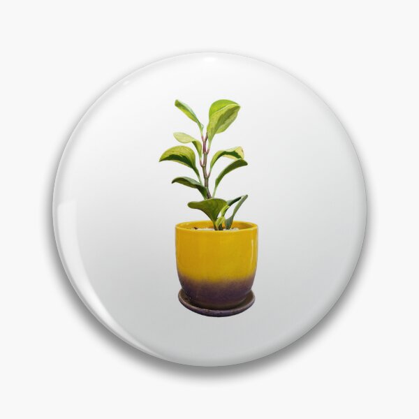 Item preview, Peperomia obtusifolia designed and sold by Meo Design.