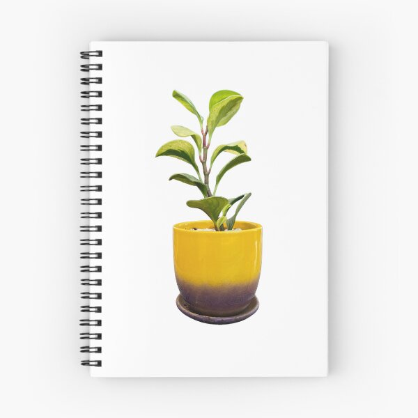 Item preview, Peperomia obtusifolia designed and sold by Meo Design.