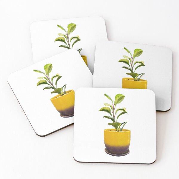 Item preview, Peperomia obtusifolia designed and sold by Meo Design.