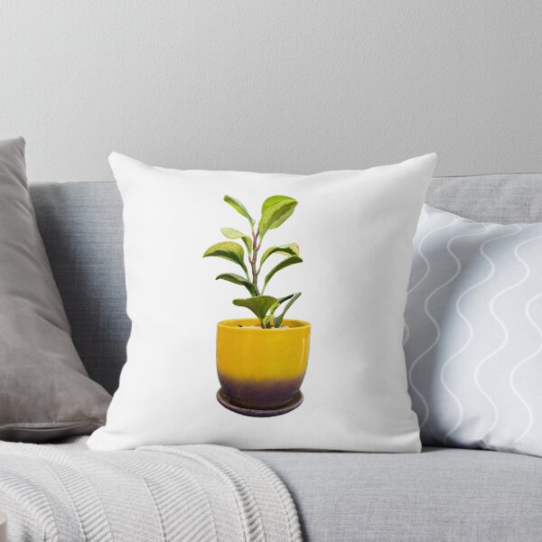 Item preview, Peperomia obtusifolia designed and sold by Meo Design.