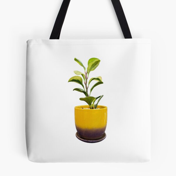 Item preview, Peperomia obtusifolia designed and sold by Meo Design.