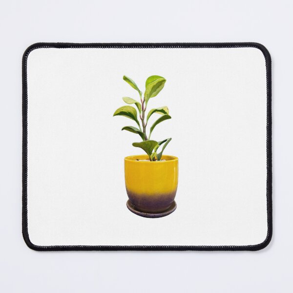 Item preview, Peperomia obtusifolia designed and sold by Meo Design.