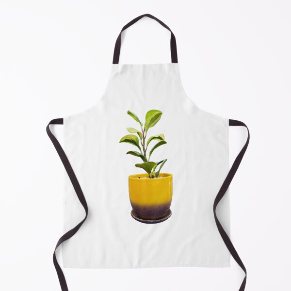 Item preview, Peperomia obtusifolia designed and sold by Meo Design.