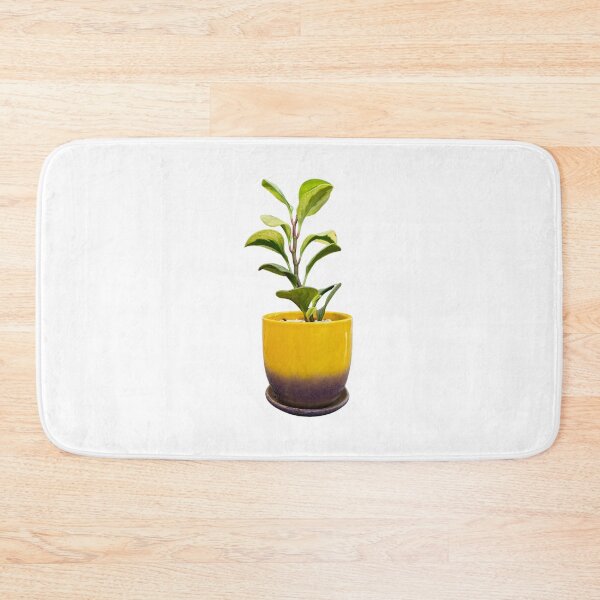 Item preview, Peperomia obtusifolia designed and sold by Meo Design.