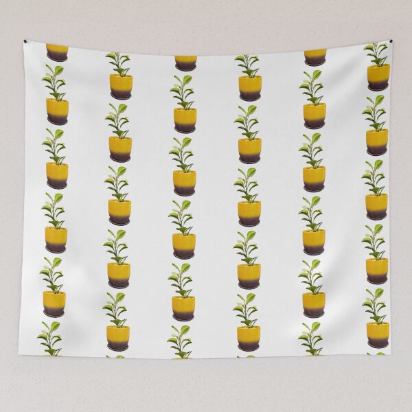 Item preview, Peperomia obtusifolia designed and sold by Meo Design.