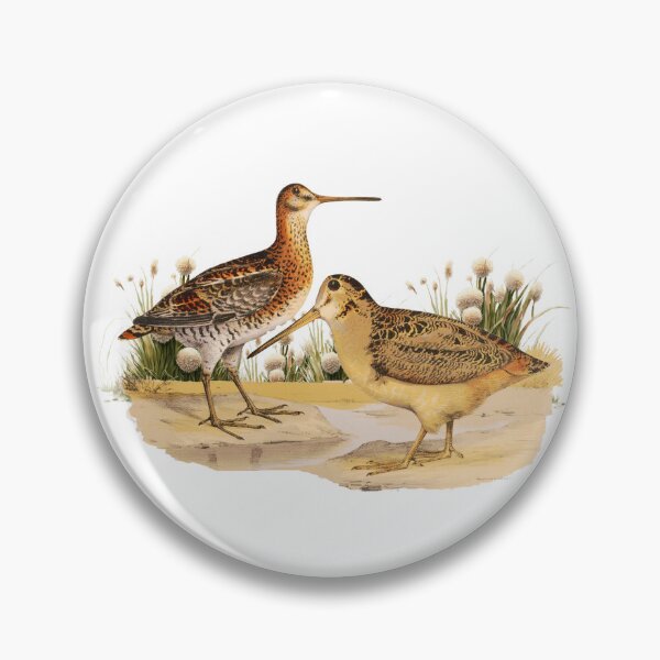 Item preview, Shorebird Wilsons Snipe designed and sold by Bliss Find And Design.
