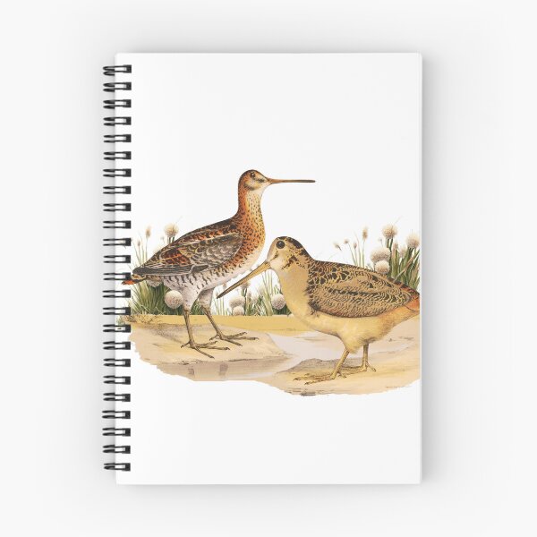 Artikelvorschau, Shorebird Wilsons Snipe entworfen und verkauft von Bliss Find And Design.