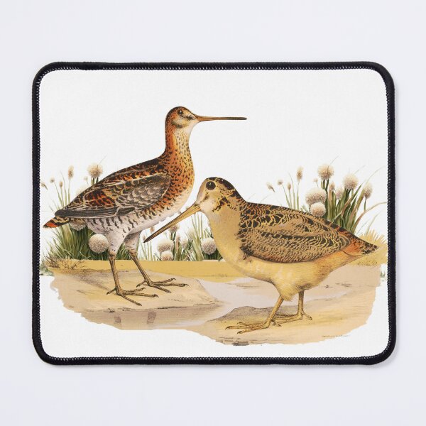Item preview, Shorebird Wilsons Snipe designed and sold by Bliss Find And Design.
