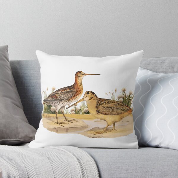 Item preview, Shorebird Wilsons Snipe designed and sold by Bliss Find And Design.