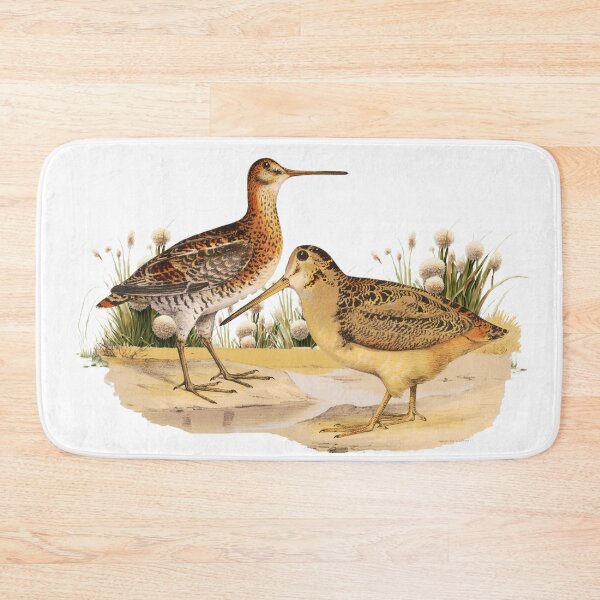Item preview, Shorebird Wilsons Snipe designed and sold by Bliss Find And Design.
