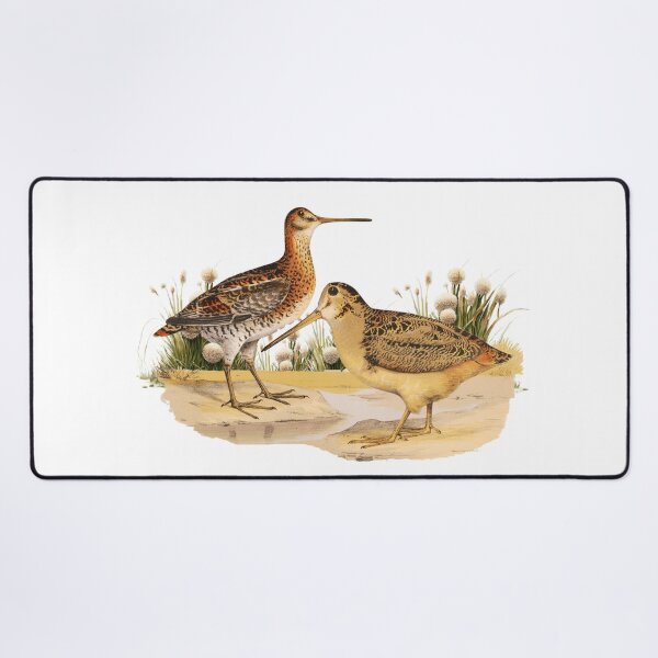 Item preview, Shorebird Wilsons Snipe designed and sold by Bliss Find And Design.