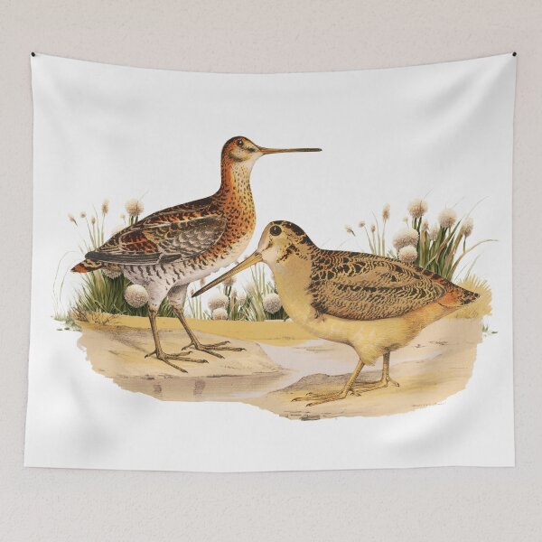 Item preview, Shorebird Wilsons Snipe designed and sold by Bliss Find And Design.