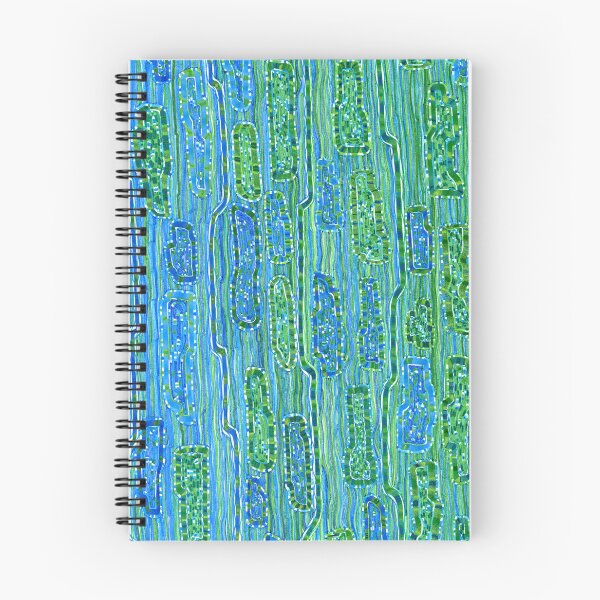 Item preview, Grooblee Grove designed and sold by Dave Migliore.