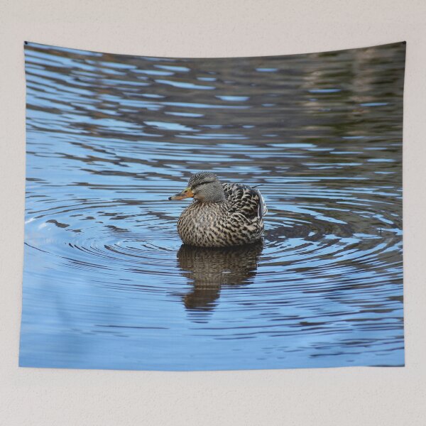 Item preview, Swimming In Circles designed and sold by Len Bomba.
