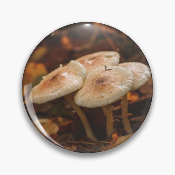 Aperçu de l'œuvre Champignons dans les bois créée et vendue par ShleeSnaps.