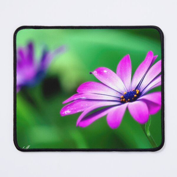 Item preview, Purple daisy 06 designed and sold by kevin Chippindall.