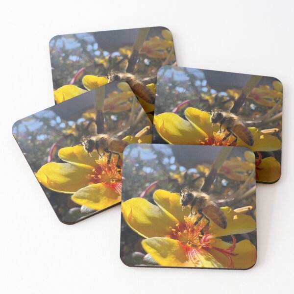 Item preview, Enchanting Close-Up of a Honey Bee Collecting Pollen Yellow Blooms designed and sold by Betsy Phillips.