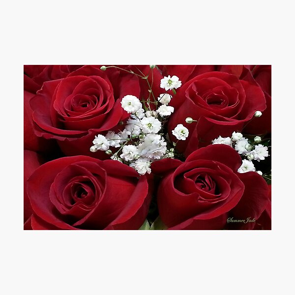 I Just Called To Say I Love You Photographic Print