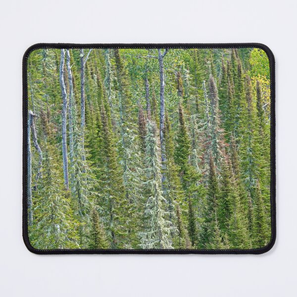Item preview, Susie Islands Overlook Study 2  designed and sold by Robert Meyers-Lussier.