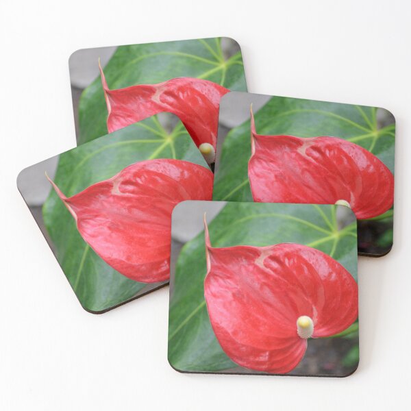 Item preview, Red Heart Shaped Anthurium with Leaf designed and sold by Paula Betz.