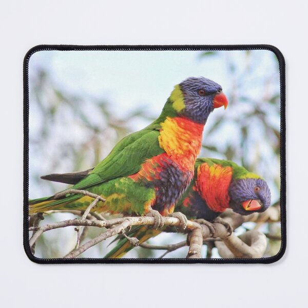 Item preview, Rainbow Lorikeet Pair designed and sold by FeatheredFinds.