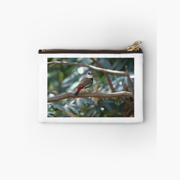 Item preview, Diamond Firetail Finch - Stagonopleura guttata designed and sold by clearviewstock.