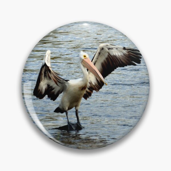 Item preview, Pelican drying off on a rock designed and sold by Rod Coysh.