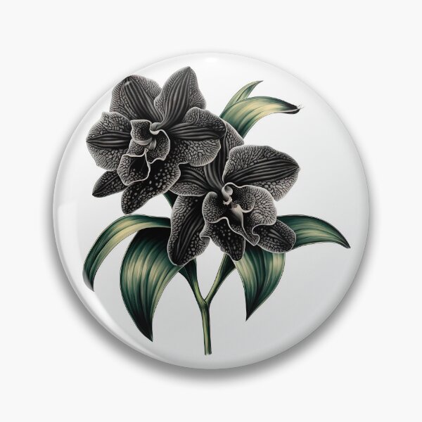 Item preview, The Black Orchid designed and sold by LanaGustavsson.