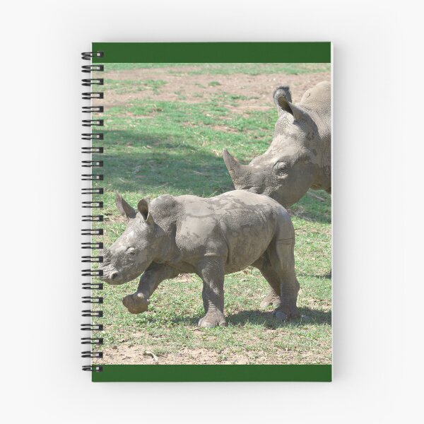 Artikelvorschau, Mutterliebe – Mutter und Baby Spitzmaulnashorn entworfen und verkauft von clearviewstock.